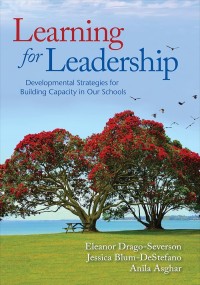 Image of Learning for Leadership Developmental Strategis for Building Capacity in Our Schools